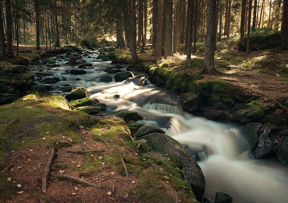 sumava national park